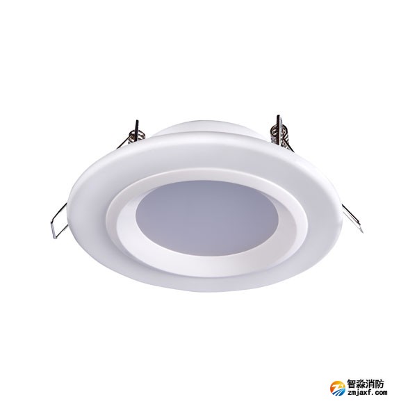 新疆海灣HW-ZFJC-E6W-N621集中電源集中控制型消防應急照明燈具