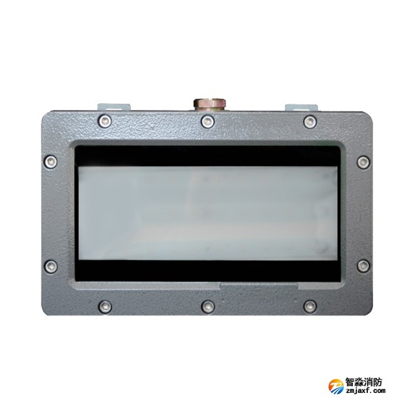 新疆海灣HW-ZFJC-E6W-VN860壁掛照明燈