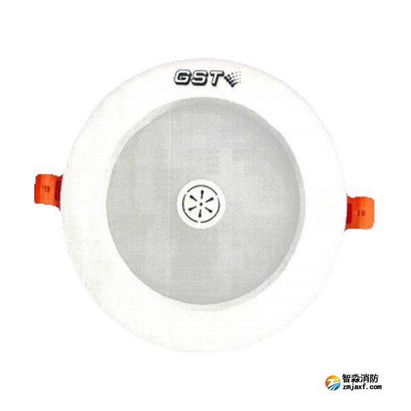 新疆海灣HW-ZFJC-E6W-N651SG集中電源集中控制型消防應(yīng)急照明燈具